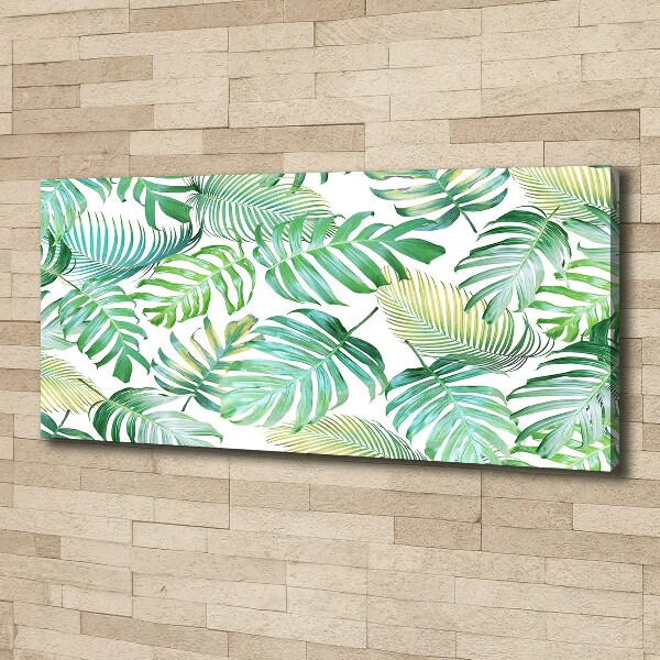 Foto obraz na płótnie Tropikalne liście