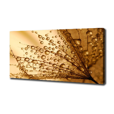 Cuadro canvas con impresión uv duradera horizontal semillas de diente de león