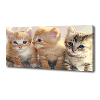 Cuadro canvas moderno de gran formato horizontal Pequeños gatos