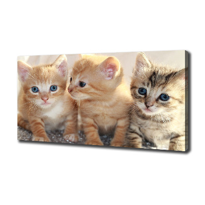 Cuadro canvas moderno de gran formato horizontal Pequeños gatos