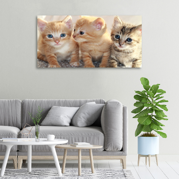 Cuadro canvas moderno de gran formato horizontal Pequeños gatos