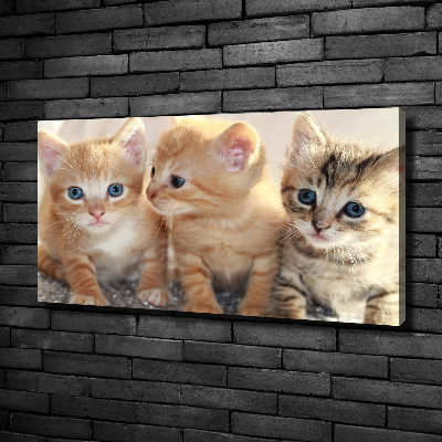 Cuadro canvas moderno de gran formato horizontal Pequeños gatos