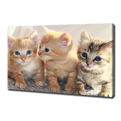Cuadro canvas moderno de gran formato horizontal Pequeños gatos