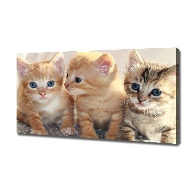Cuadro canvas moderno de gran formato horizontal Pequeños gatos