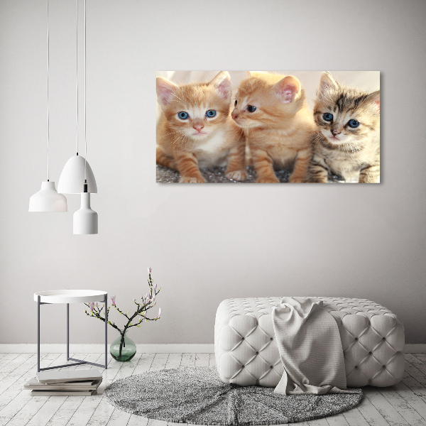 Cuadro canvas moderno de gran formato horizontal Pequeños gatos