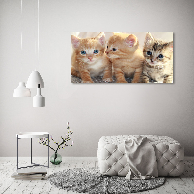 Cuadro canvas moderno de gran formato horizontal Pequeños gatos