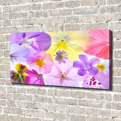 Duży foto obraz na ścianę canvas Bratki