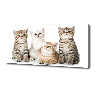 Cuadro canvas con impresión uv duradera horizontal Pequeños gatos