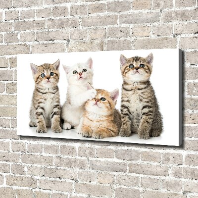 Cuadro canvas con impresión uv duradera horizontal Pequeños gatos