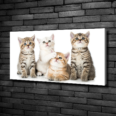 Cuadro canvas con impresión uv duradera horizontal Pequeños gatos