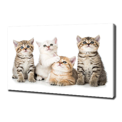 Cuadro canvas con impresión uv duradera horizontal Pequeños gatos