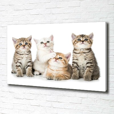 Cuadro canvas con impresión uv duradera horizontal Pequeños gatos