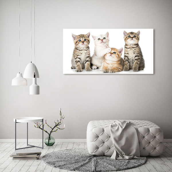 Cuadro canvas con impresión uv duradera horizontal Pequeños gatos