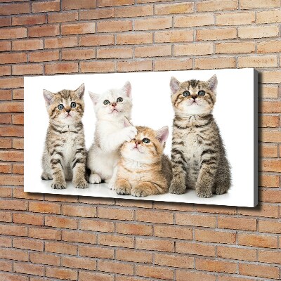 Cuadro canvas con impresión uv duradera horizontal Pequeños gatos