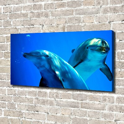 Foto en lienzo con acabado profesional horizontal Dos delfines