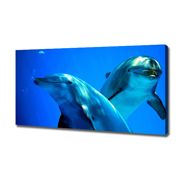 Foto en lienzo con acabado profesional horizontal Dos delfines