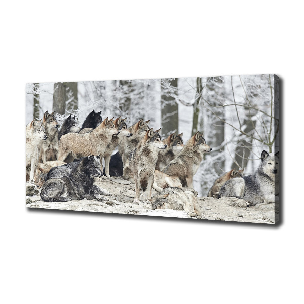 Cuadro canvas con impresión uv duradera horizontal Lobos en invierno