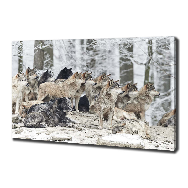 Cuadro canvas con impresión uv duradera horizontal Lobos en invierno
