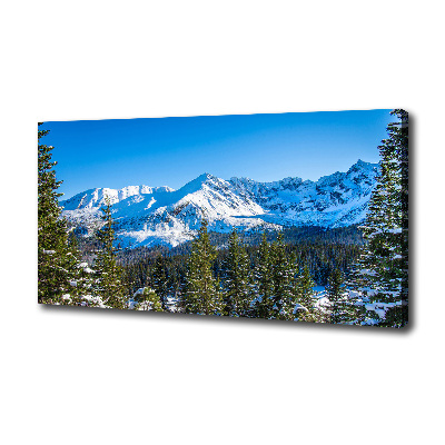 Cuadro canvas con impresión uv duradera horizontal Panorama de los montes Tatra