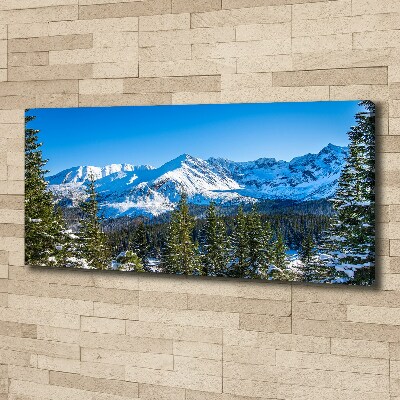 Cuadro canvas con impresión uv duradera horizontal Panorama de los montes Tatra