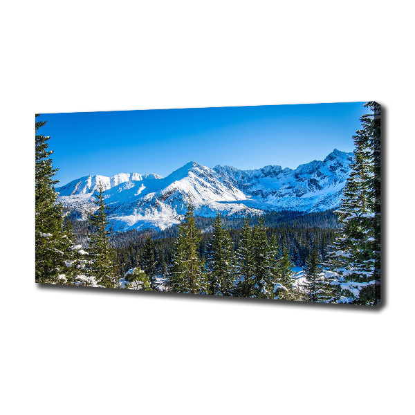 Cuadro canvas con impresión uv duradera horizontal Panorama de los montes Tatra