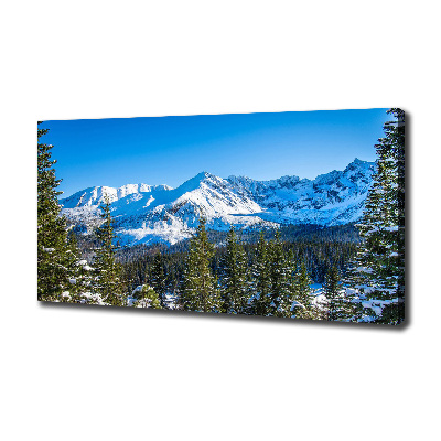 Cuadro canvas con impresión uv duradera horizontal Panorama de los montes Tatra