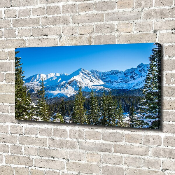 Cuadro canvas con impresión uv duradera horizontal Panorama de los montes Tatra