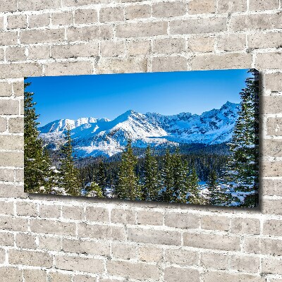 Cuadro canvas con impresión uv duradera horizontal Panorama de los montes Tatra