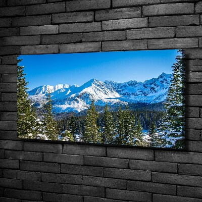 Cuadro canvas con impresión uv duradera horizontal Panorama de los montes Tatra