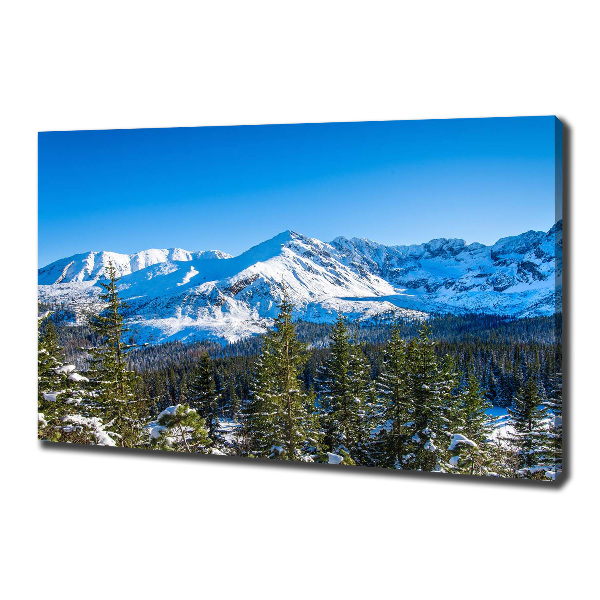 Cuadro canvas con impresión uv duradera horizontal Panorama de los montes Tatra