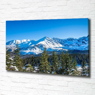 Cuadro canvas con impresión uv duradera horizontal Panorama de los montes Tatra