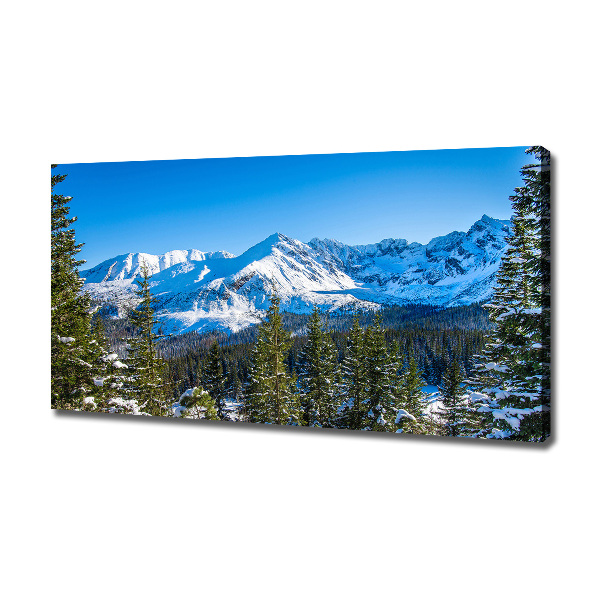 Cuadro canvas con impresión uv duradera horizontal Panorama de los montes Tatra