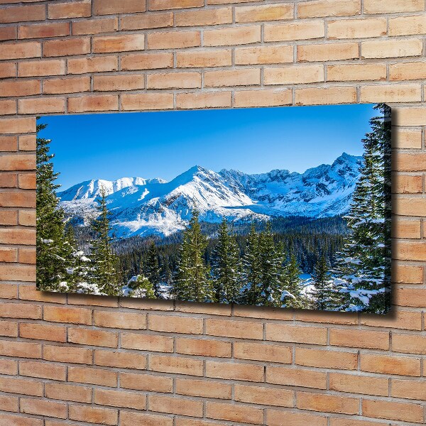 Cuadro canvas con impresión uv duradera horizontal Panorama de los montes Tatra