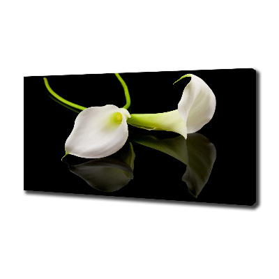 Foto en lienzo con acabado profesional horizontal Calla