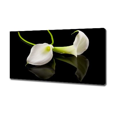 Foto en lienzo con acabado profesional horizontal Calla