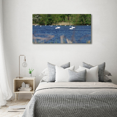 Cuadro canvas con impresión uv duradera horizontal cisnes blancos