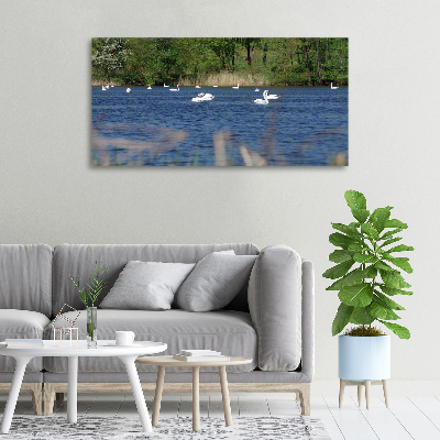 Cuadro canvas con impresión uv duradera horizontal cisnes blancos