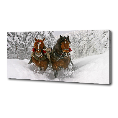 Cuadro canvas moderno de gran formato horizontal Paseo en trineo