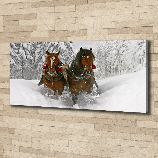 Cuadro canvas moderno de gran formato horizontal Paseo en trineo
