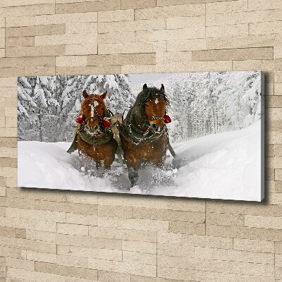 Cuadro canvas moderno de gran formato horizontal Paseo en trineo