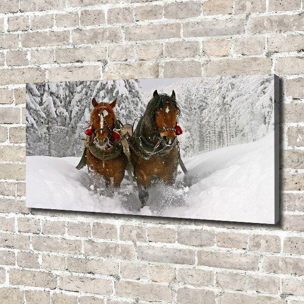 Cuadro canvas moderno de gran formato horizontal Paseo en trineo