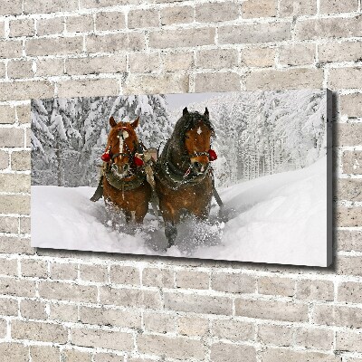 Cuadro canvas moderno de gran formato horizontal Paseo en trineo