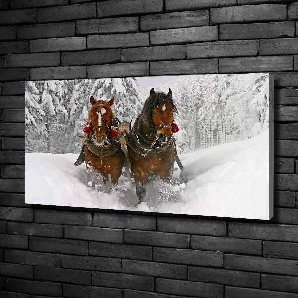Cuadro canvas moderno de gran formato horizontal Paseo en trineo