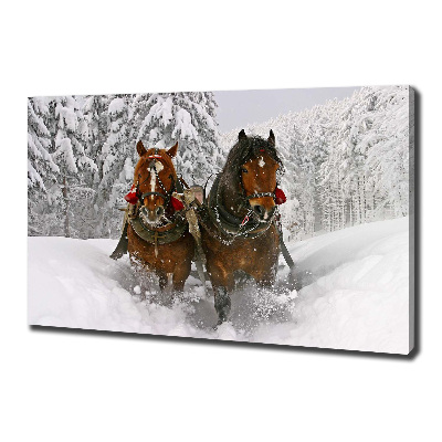 Cuadro canvas moderno de gran formato horizontal Paseo en trineo