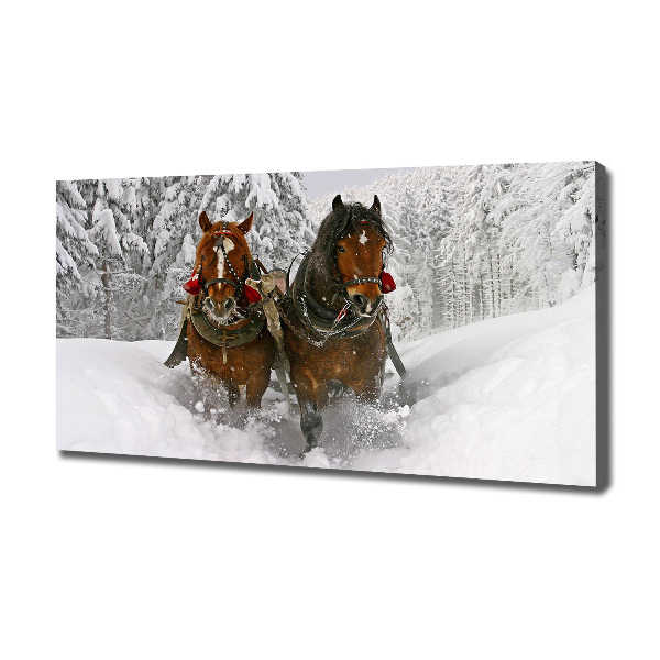 Cuadro canvas moderno de gran formato horizontal Paseo en trineo