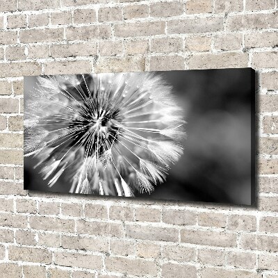 Foto en lienzo con acabado profesional horizontal Dientes de león