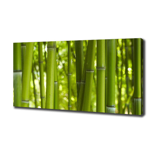 Fotocuadro en lienzo de alta calidad horizontal Bambú