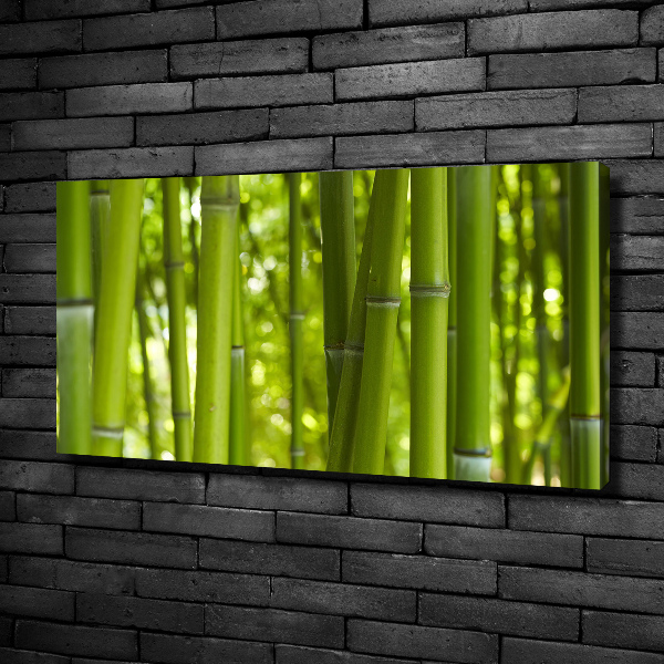 Fotocuadro en lienzo de alta calidad horizontal Bambú