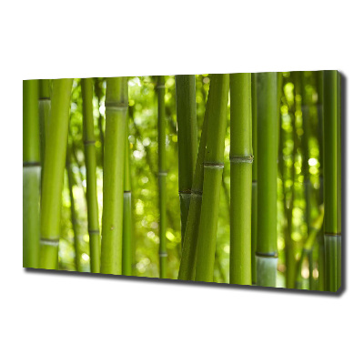 Fotocuadro en lienzo de alta calidad horizontal Bambú