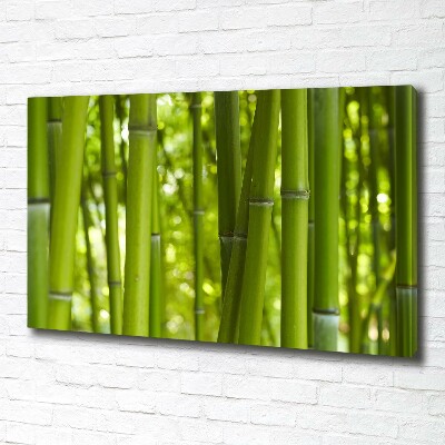 Duży foto obraz na ścianę canvas Bambus